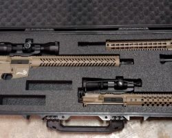 AR-15 WITH 3 CALIBERS IN A CUSTOM PELICAN 1750 CASE